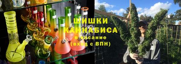 сатива Баксан