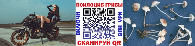 Псилоцибиновые грибы GOLDEN TEACHER  Нижний Ломов 